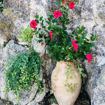 Tenuta La Puntara *