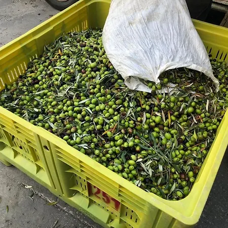 Tenuta La Puntara Casa vacanze Caltanissetta