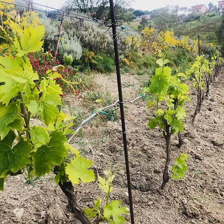 Casa vacanze Tenuta La Puntara *