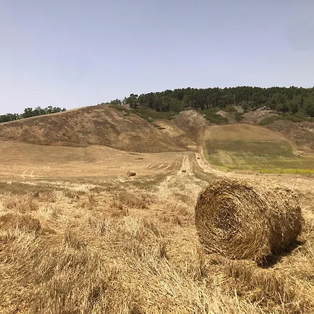 Tenuta La Puntara Feriehus Caltanissetta