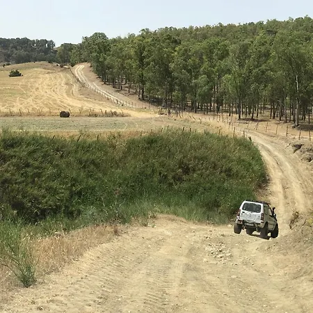 Tenuta La Puntara
