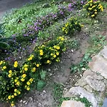 Tenuta La Puntara Кальтаниссетта