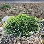 Tenuta La Puntara Дом отдыха Кальтаниссетта