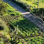 Tenuta La Puntara