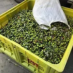 Tenuta La Puntara Дом отдыха Кальтаниссетта