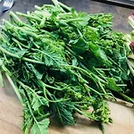 Tenuta La Puntara Дом отдыха Кальтаниссетта