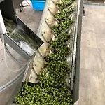 Tenuta La Puntara
