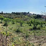 Tenuta La Puntara *