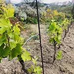 Дом отдыха Tenuta La Puntara *