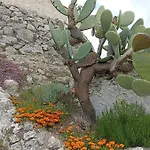 Tenuta La Puntara Дом отдыха