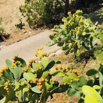 Tenuta La Puntara Кальтаниссетта