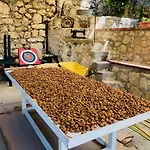 Tenuta La Puntara Дом отдыха Кальтаниссетта