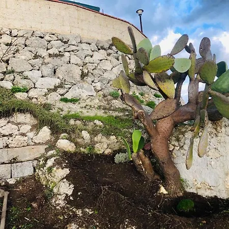 Tenuta La Puntara Holiday home *