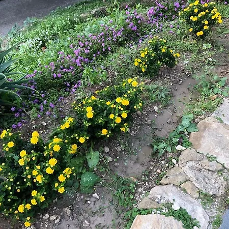 Tenuta La Puntara Caltanissetta