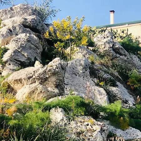 Tenuta La Puntara Holiday home *