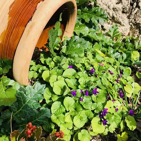Tenuta La Puntara *