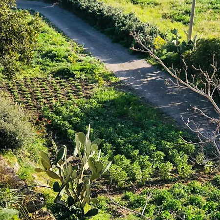 Tenuta La Puntara