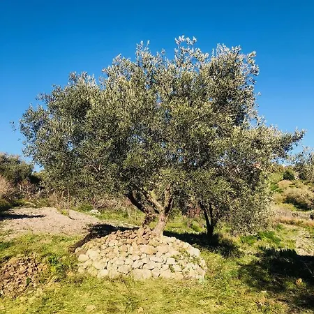 Tenuta La Puntara Holiday home *