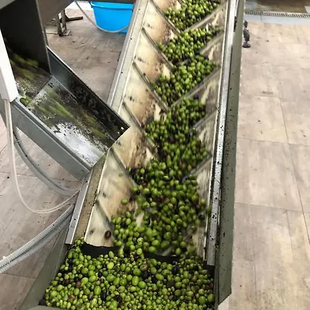 Tenuta La Puntara