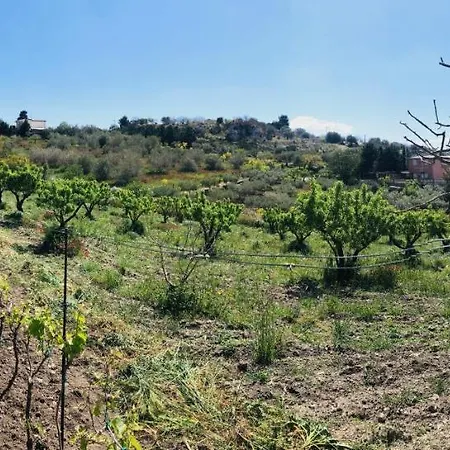 Tenuta La Puntara *