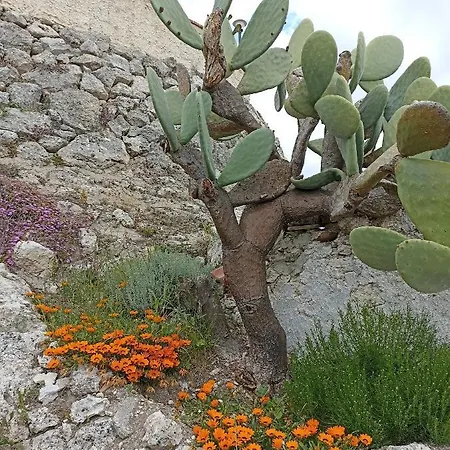 Tenuta La Puntara Holiday home