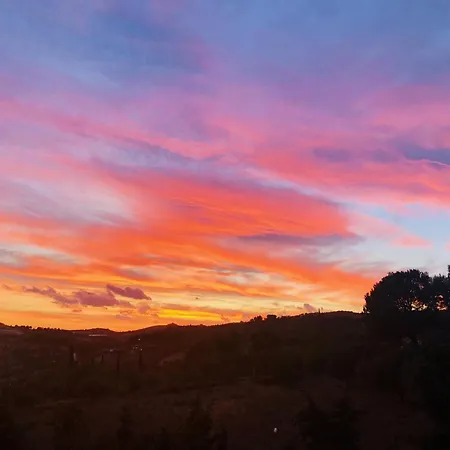 Tenuta La Puntara