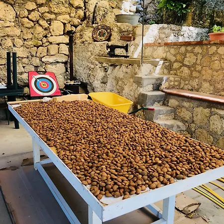 Tenuta La Puntara Holiday home Caltanissetta