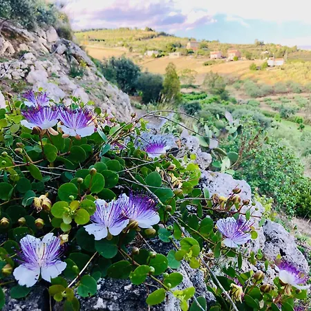Tenuta La Puntara * Caltanissetta